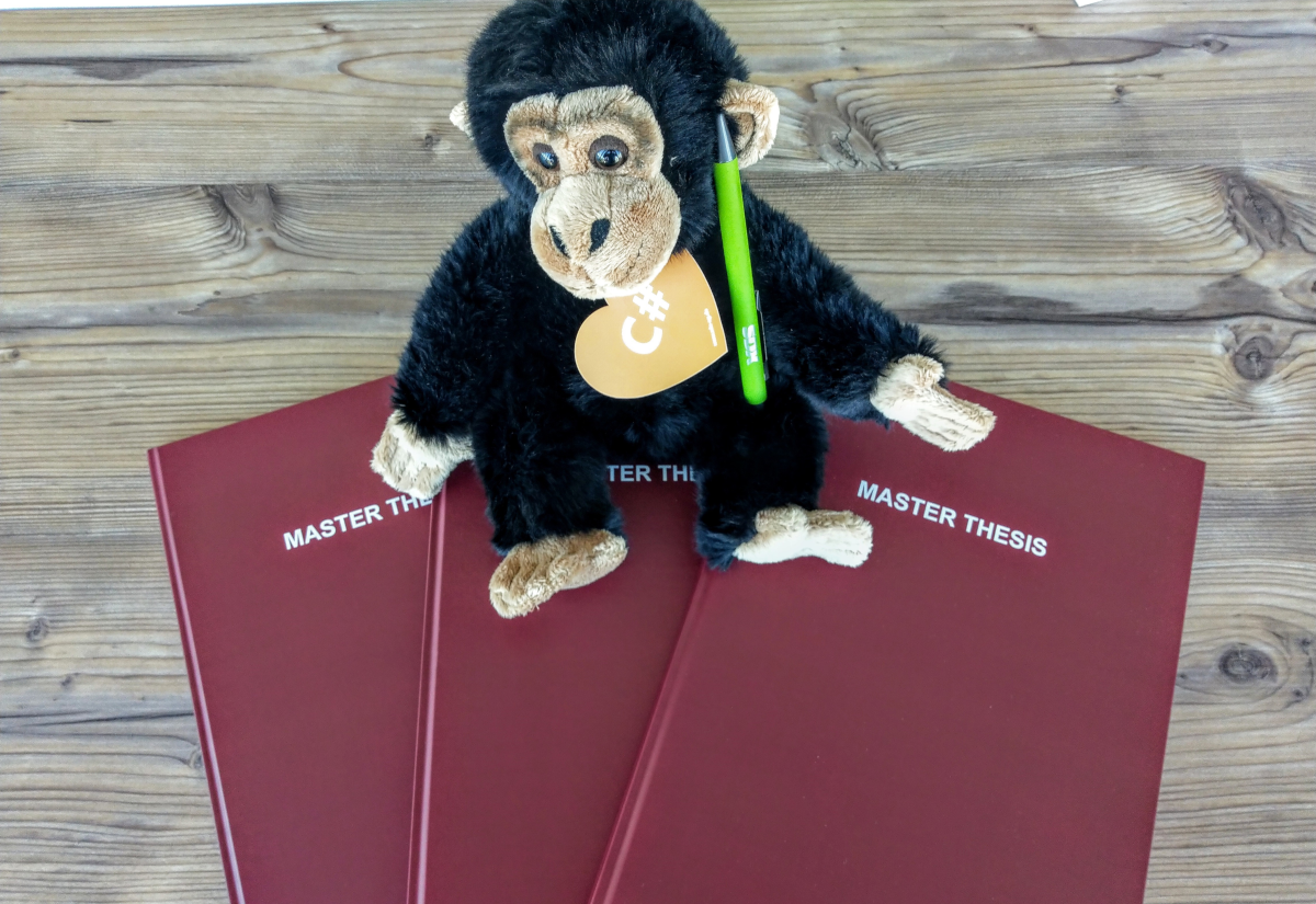 Masterarbeit mit eXperts